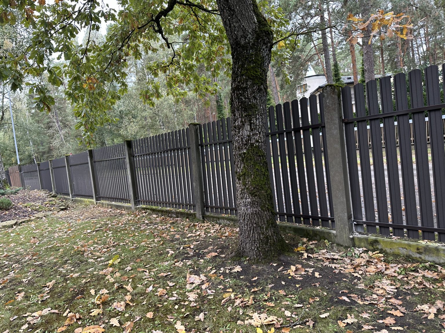 IMG 1259 2 4 - Aluzinc, metāla logi, metāla sētas, metāla vārti, bīdāmie vārti Rīgā IMG 1259 2 4 - Aluzinc, metāla logi, metāla sētas, metāla vārti, bīdāmie vārti Rīgā