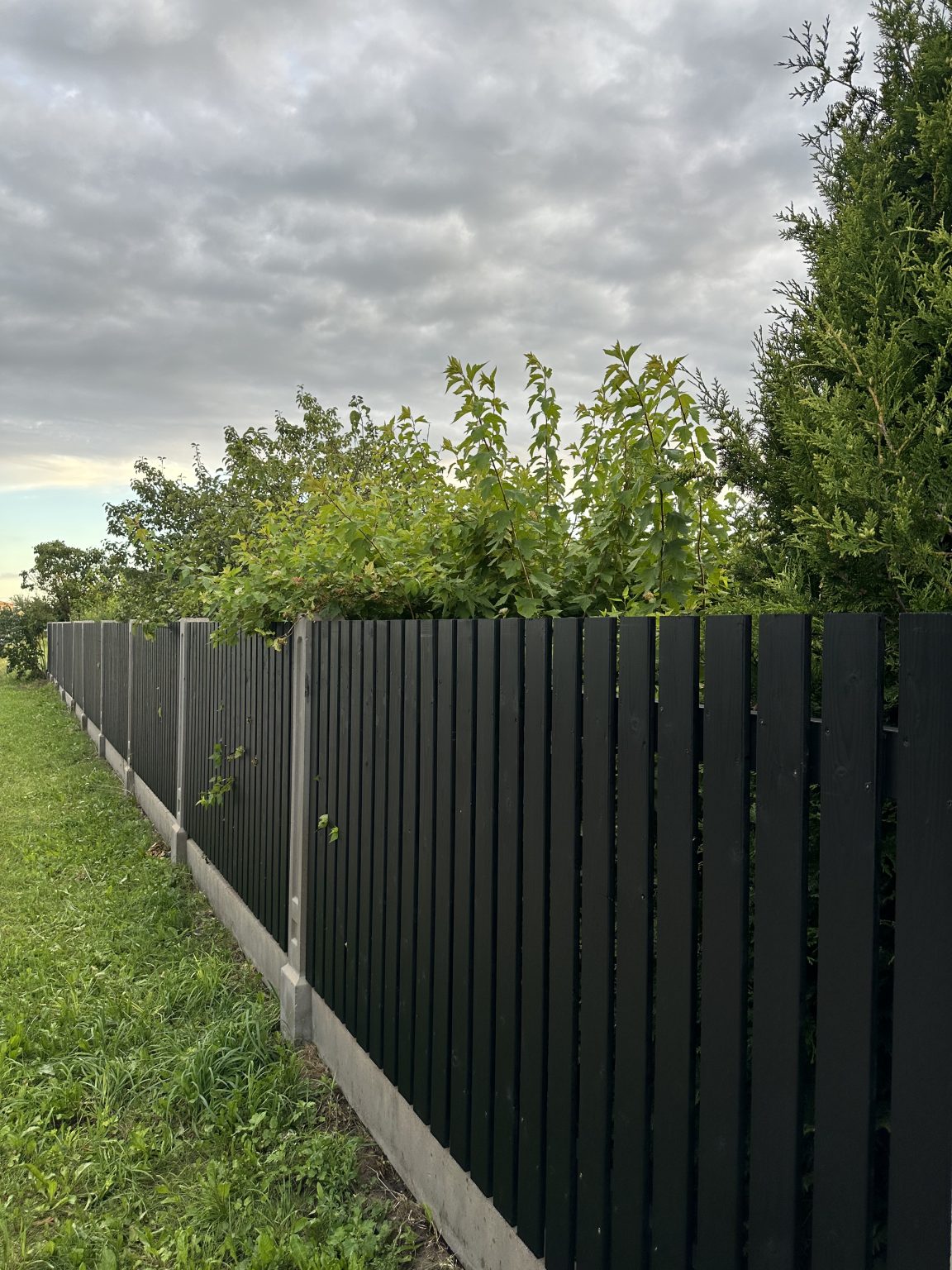 IMG 6932 2 - Aluzinc, metāla logi, metāla sētas, metāla vārti, bīdāmie vārti Rīgā IMG 6932 2 - Aluzinc, metāla logi, metāla sētas, metāla vārti, bīdāmie vārti Rīgā